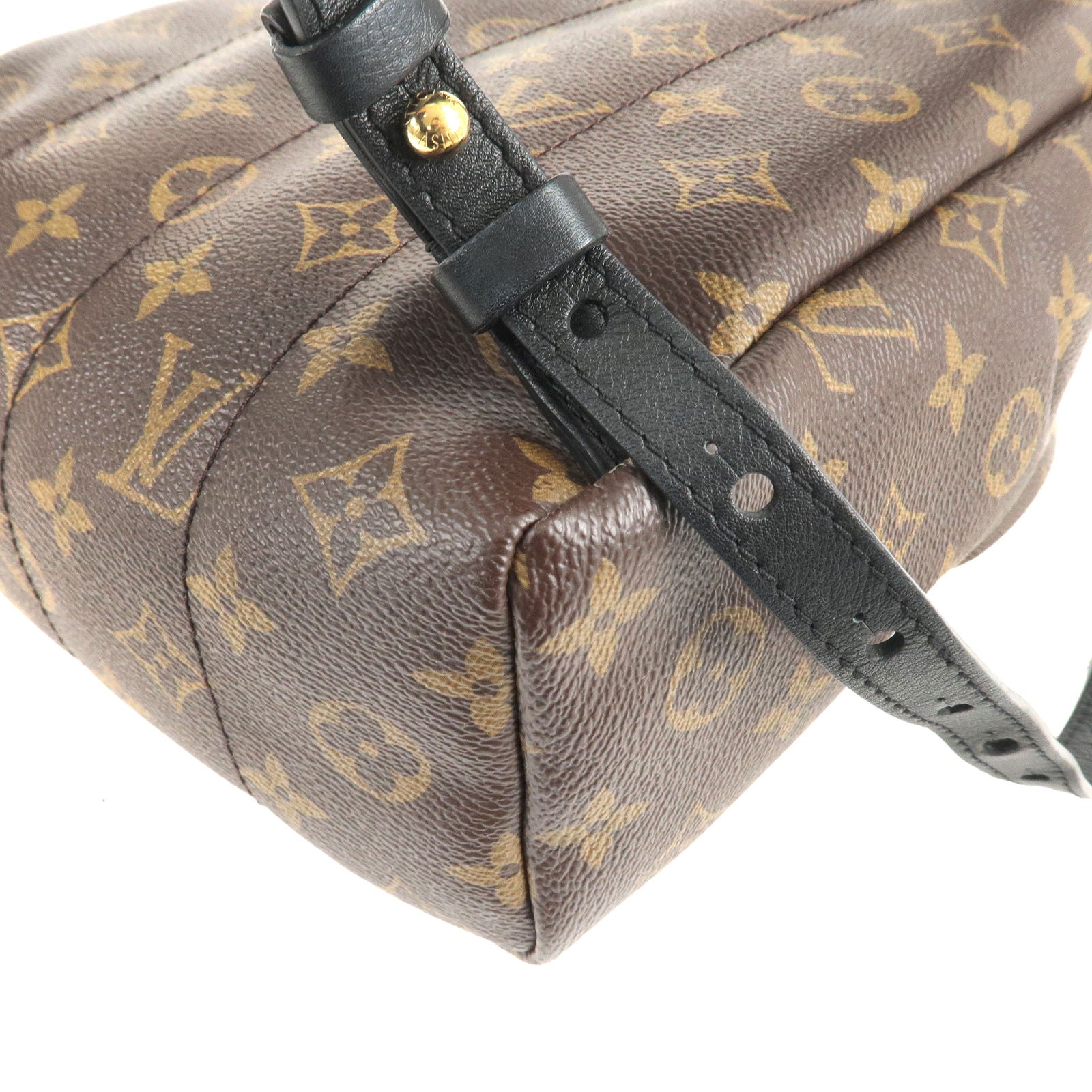 Louis-Vuitton-Monogram-Palm-Springs-PM-Back-Pack-M41560 – dct