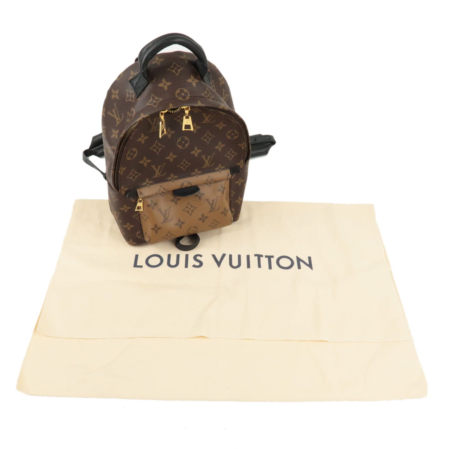 Louis Vuitton Monogram Palm Springs PM Ruck Sack Back Pack M43116