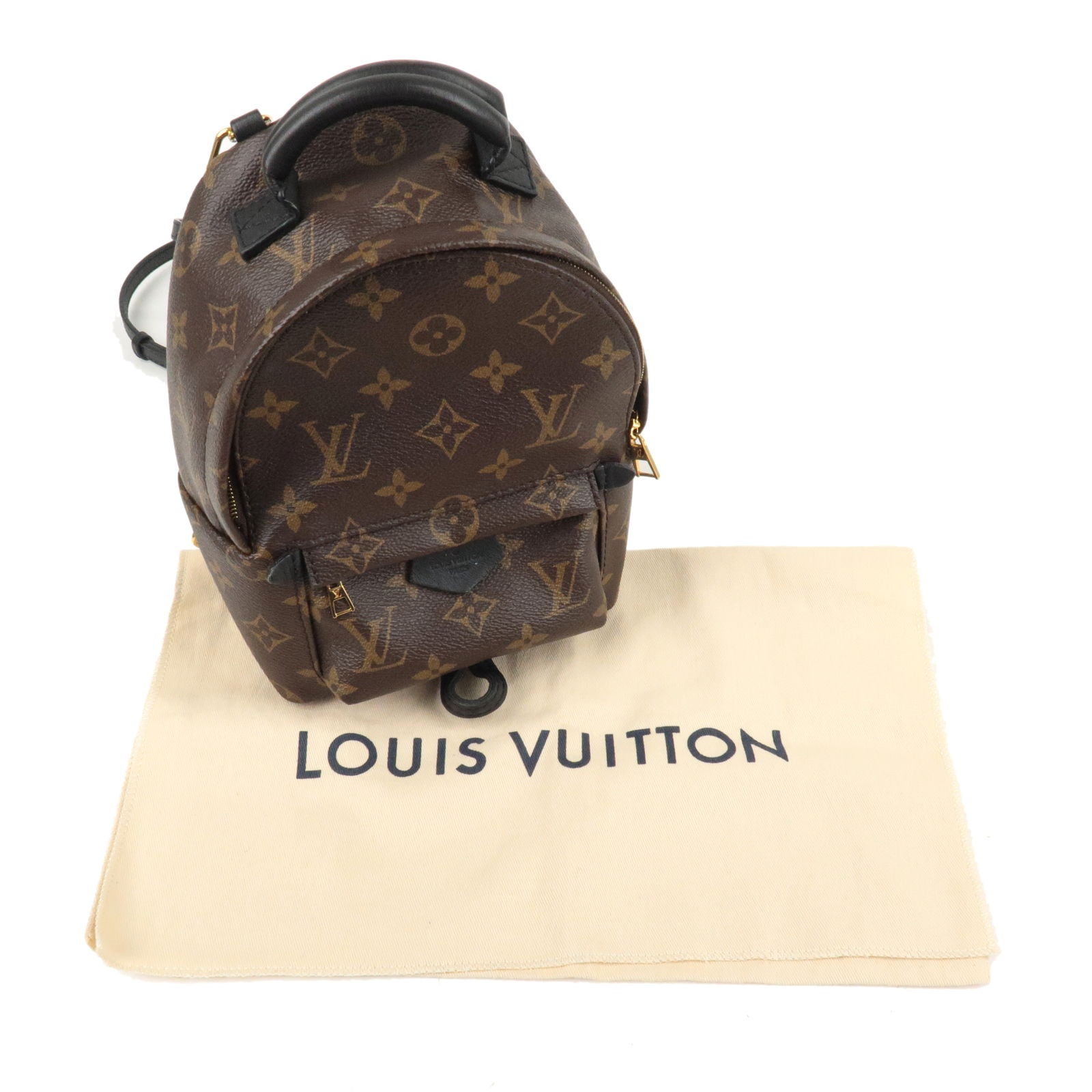 Authentic Louis Vuitton Palm Springs Mini Backpack Monogram Canvas M44873