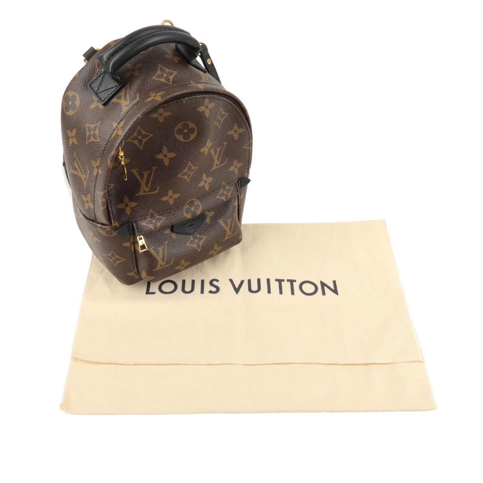 Louis Vuitton Palm Springs Backpack Mini Monogram M41562