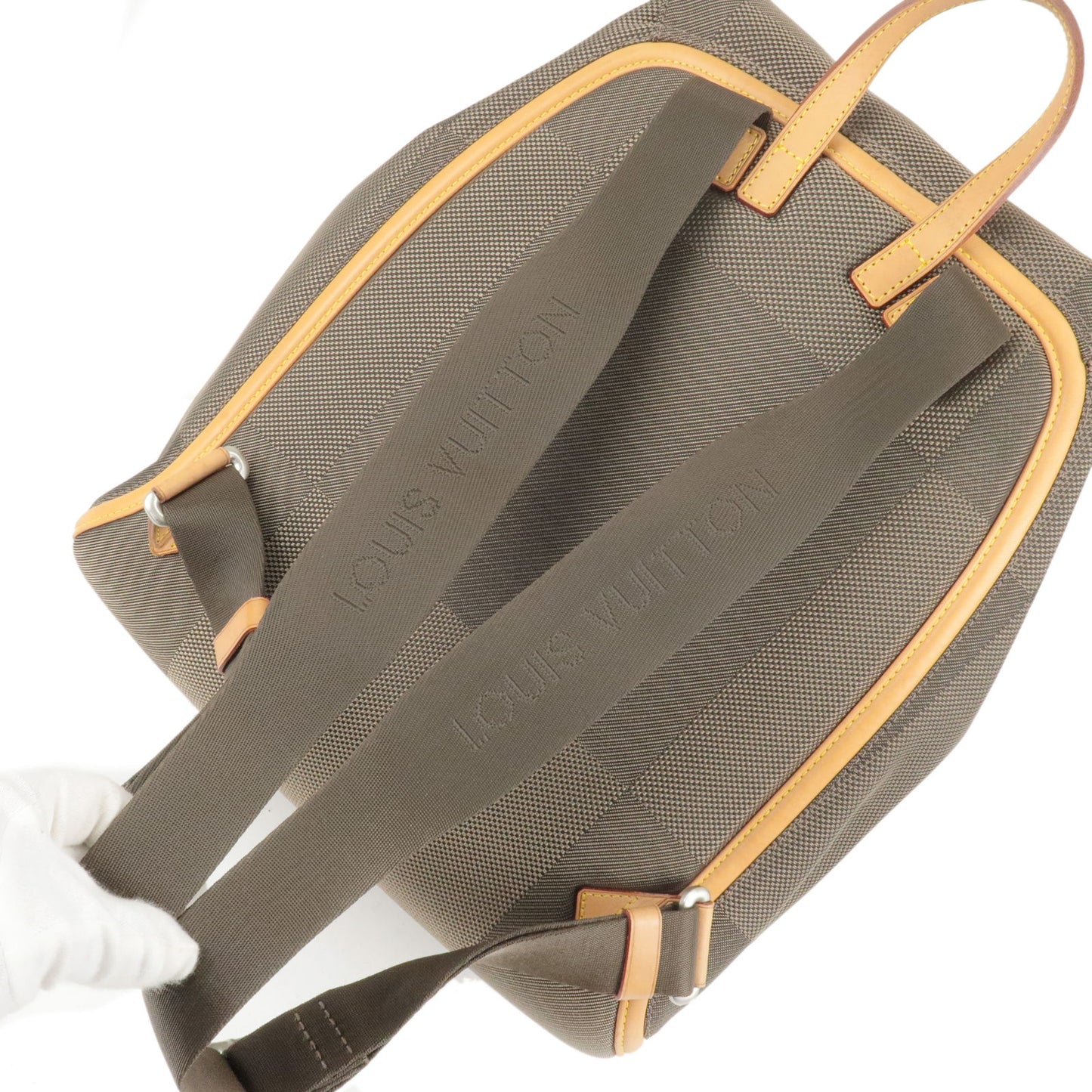 Louis Vuitton Damier Geant Pionie Back Pack M93055