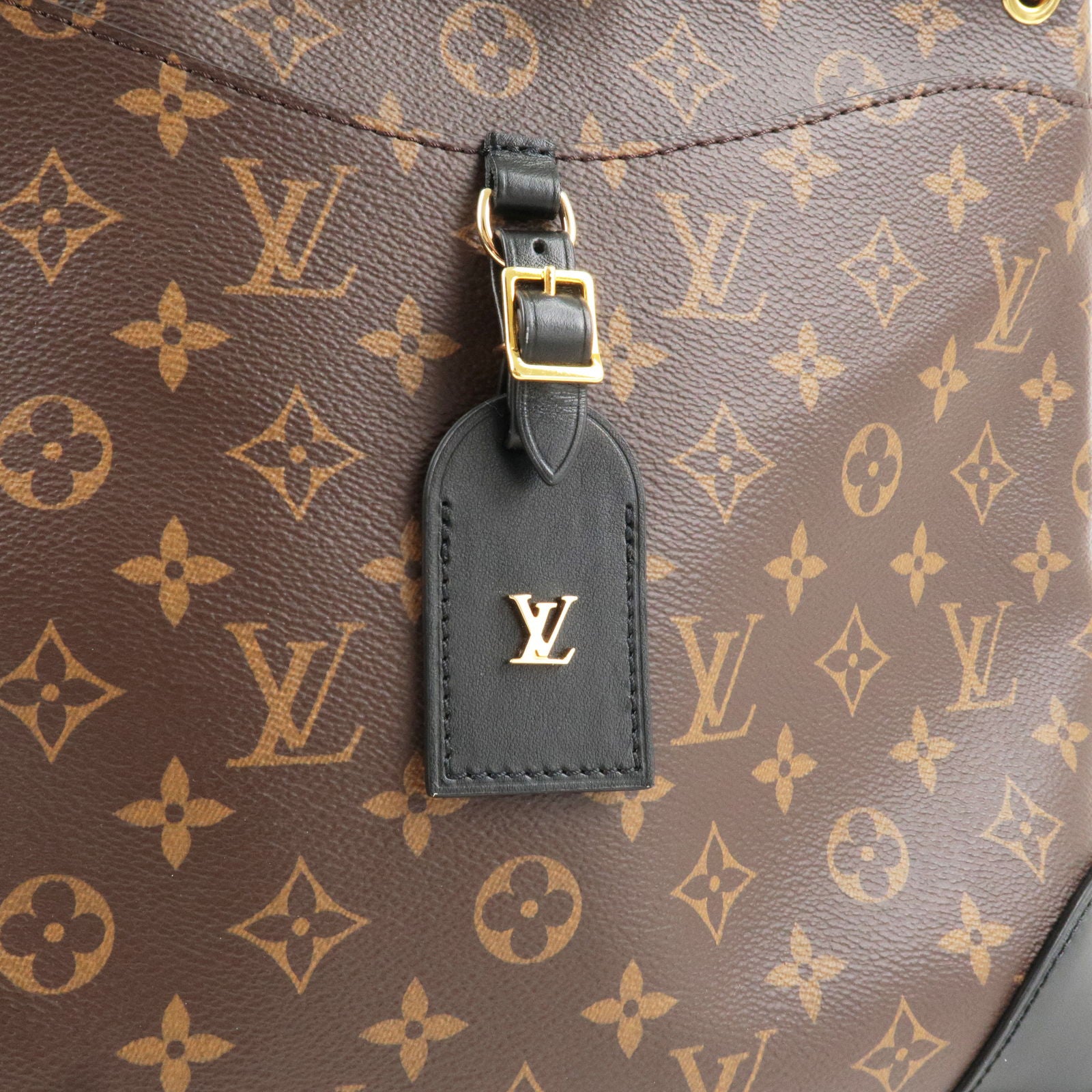 Louis-Vuitton-Monogram-Macassar-Odeon-NM-MM-Shoulder-Bag-M45352